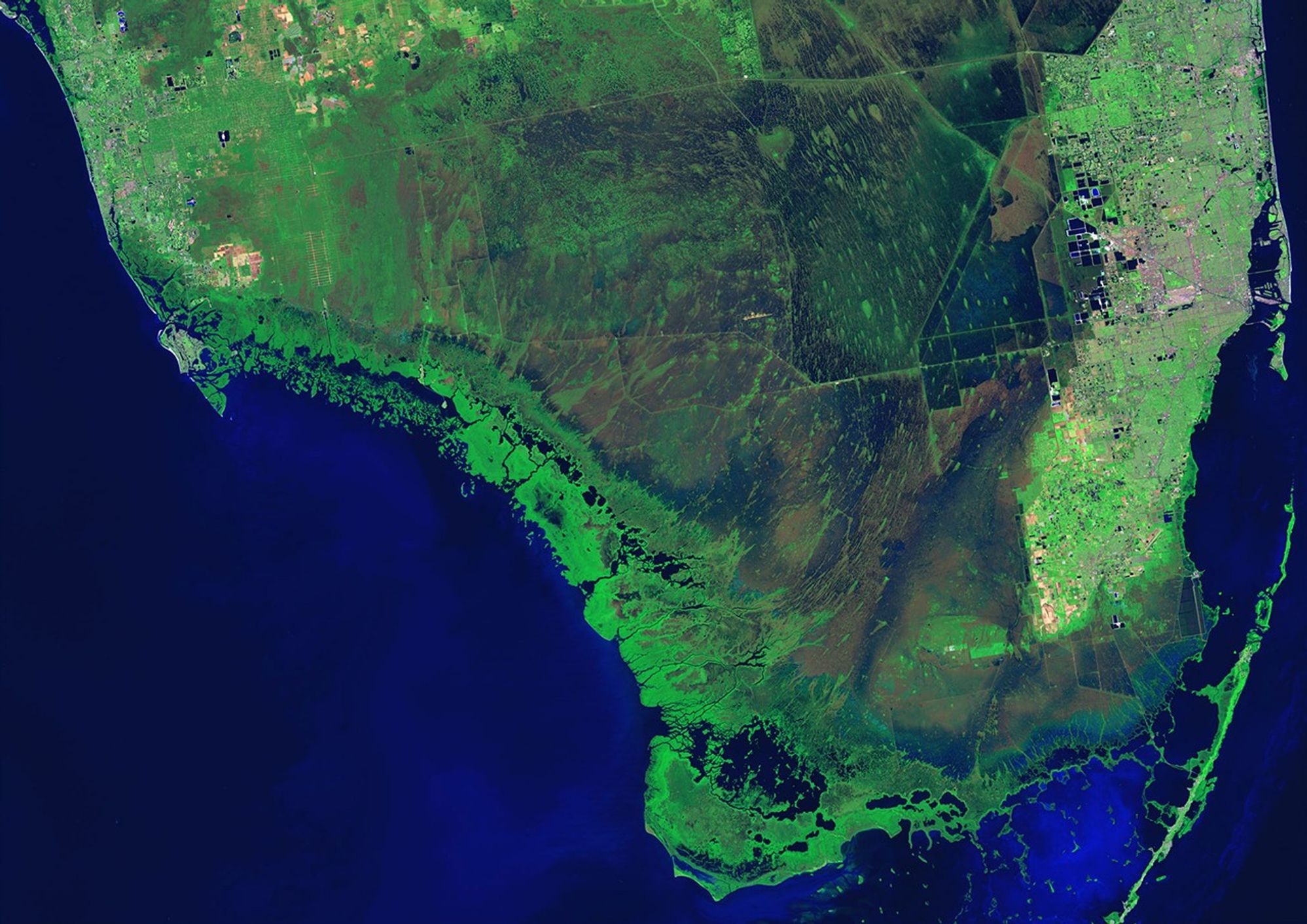 Florida's Everglades National Park contains the largest tract of wilderness east of the Rocky Mountains. It's an important wildlife habitat that also provides millions of people with water, cropland and pastures, and recreation. Urban development, recreation demands and storms have been hard on the ecosystem, and climate change poses a significant new challenge. In an effort to protect the Everglades, the U.S. Congress authorized the largest restoration project in American history in 2000. It includes buying land (over 207,000 acres to date), establishing large-scale aquifer storage systems and developing treatment marshes and water-flow channels. Each picture shown here is a mosaic of five scenes taken by satellite. Comparing 1986/1987 and 2010/2011 allows the project's staff to evaluate gradual changes in the fragile Everglades ecosystem. Images taken by the Thematic Mapper sensor onboard Landsat 5. Source: U.S. Geological Survey (USGS) Landsat Missions Gallery, "Monitoring the Everglades," U.S. Department of the Interior / USGS and NASA.