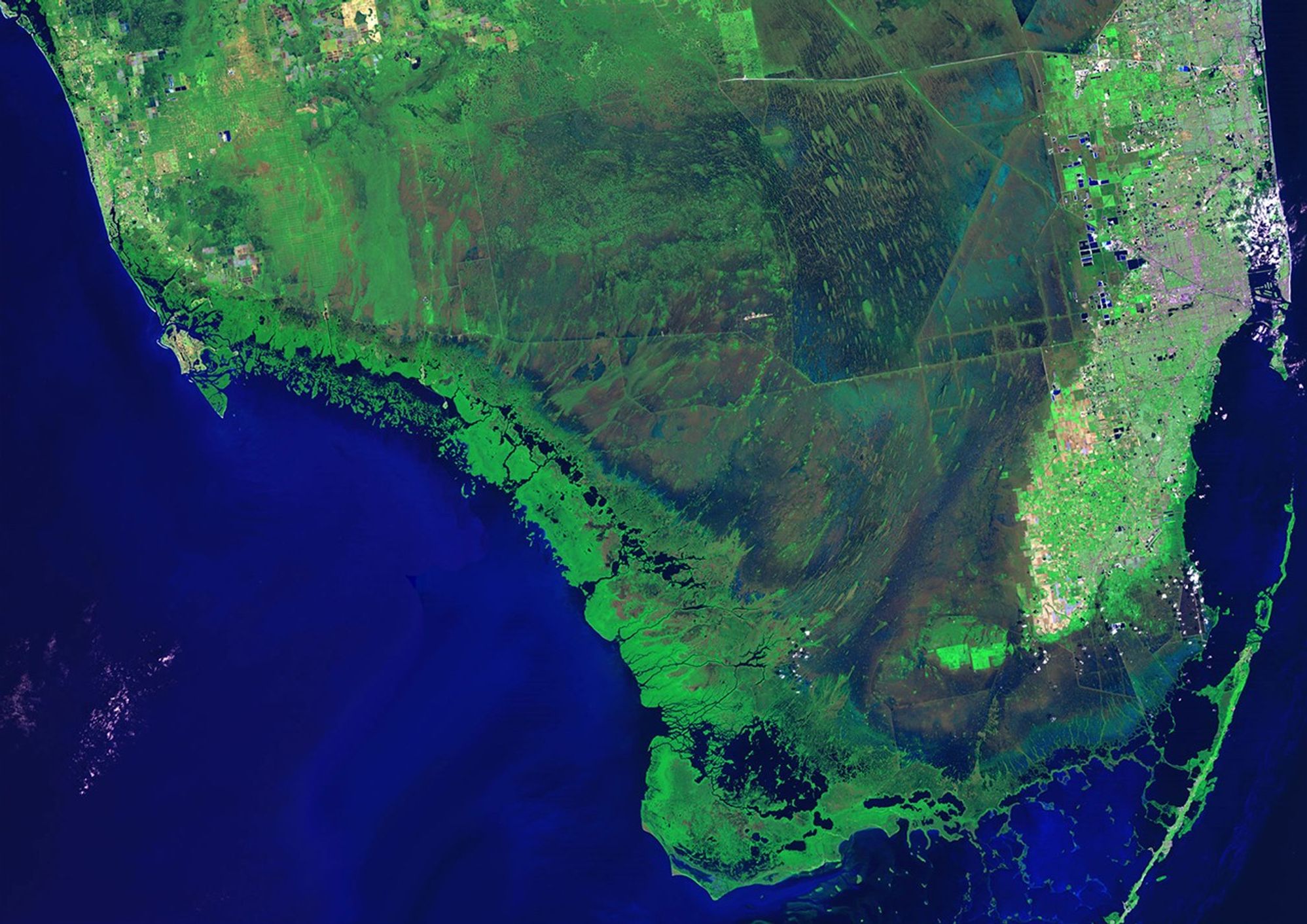 Florida's Everglades National Park contains the largest tract of wilderness east of the Rocky Mountains. It's an important wildlife habitat that also provides millions of people with water, cropland and pastures, and recreation. Urban development, recreation demands and storms have been hard on the ecosystem, and climate change poses a significant new challenge. In an effort to protect the Everglades, the U.S. Congress authorized the largest restoration project in American history in 2000. It includes buying land (over 207,000 acres to date), establishing large-scale aquifer storage systems and developing treatment marshes and water-flow channels. Each picture shown here is a mosaic of five scenes taken by satellite. Comparing 1986/1987 and 2010/2011 allows the project's staff to evaluate gradual changes in the fragile Everglades ecosystem. Images taken by the Thematic Mapper sensor onboard Landsat 5. Source: U.S. Geological Survey (USGS) Landsat Missions Gallery, "Monitoring the Everglades," U.S. Departmen