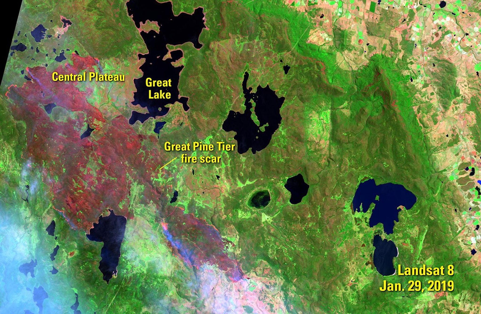 The earlier image shows the Central Plateau of the Australian state of Tasmania, three days before the Tasmania Fire Service announced that lightning strikes had ignited dozens of fires across the island state. The later image shows the spread of the Great Pine Tier fire 13 days after the announcement. In these false-color images, active fire appears bright pink, producing bluish smoke. Scars of burned areas appear dark red to brownish. As of Feb. 7, the fire had consumed nearly 136,000 acres. See also Tasmanian fire, Australia.   Images taken by Landsat 8. Source: U.S. Geological Survey’s National Land Imaging Image Collections