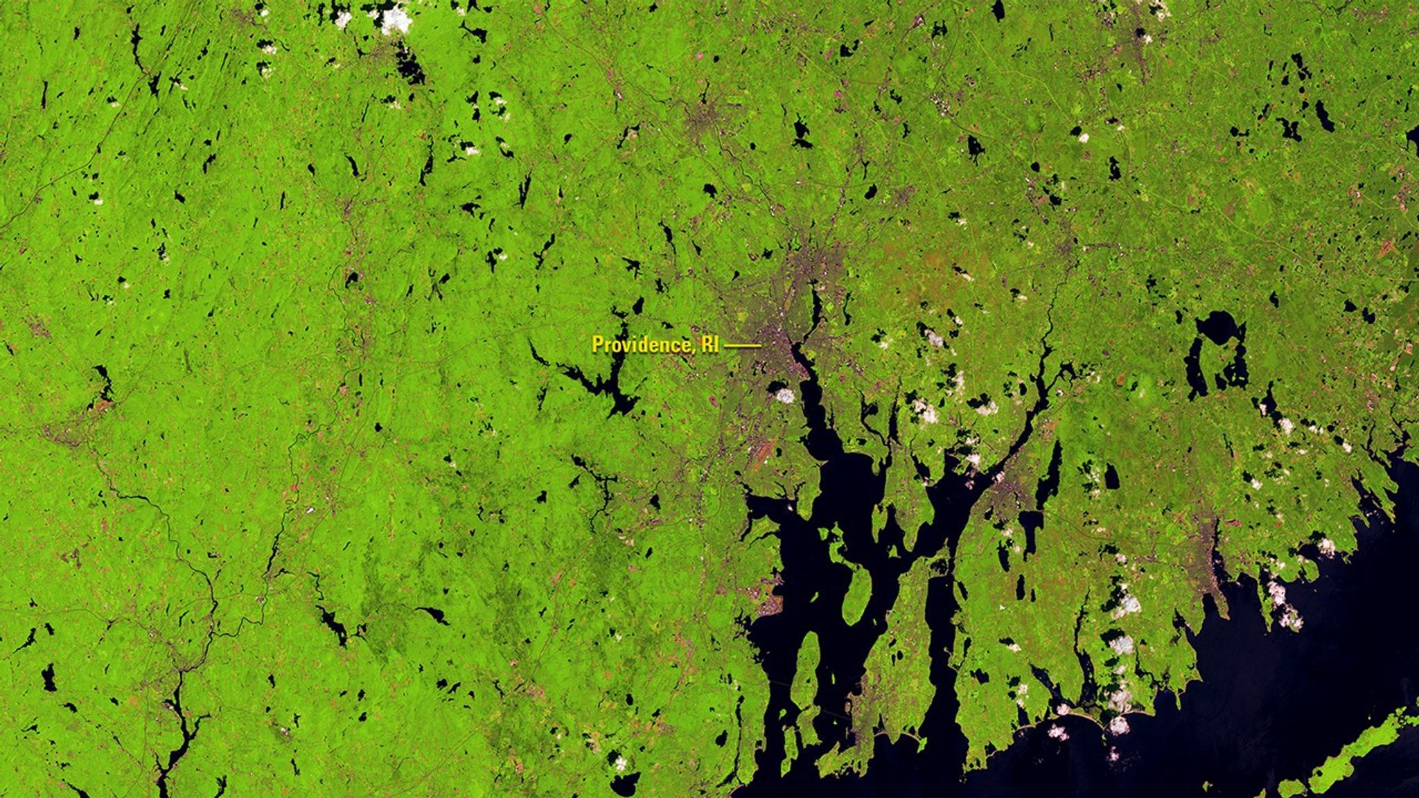 An outbreak of European gypsy moth caterpillars defoliated forests across southern New England and the Mid-Atlantic region of the U.S. during spring and summer, 2016. In the 2015 image of countryside surrounding Providence, Rhode Island, healthy forest appears light green. Damage from the caterpillars appears as a dull peach color in the 2016 image. Two successive dry springs and an accompanying drought, which weakened a ground-dwelling fungus that can kill the caterpillars, are considered responsible for the unusually severe outbreak. Images taken by the Operational Land Imager onboard Landsat 8. Source: U.S. Geological Survey (USGS) Landsat Missions Gallery; U.S. Department of the Interior / USGS and NASA.