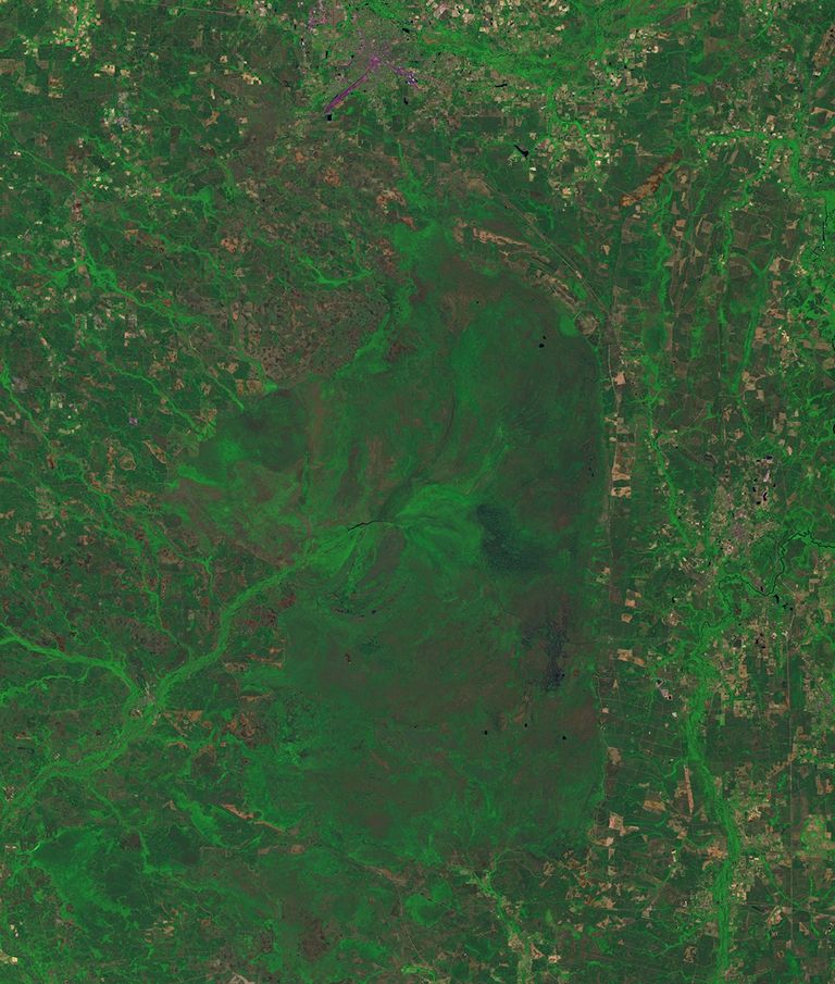 Lightning sparked wildfires near the Okefenokee National Wildlife refuge in the Honey Prairie region of Georgia, US, on April 30, 2011, after the left-hand image was taken. Dry conditions helped fuel the fires and continued lightning strikes started new ones. By July 7, over 290,000 acres had burned.