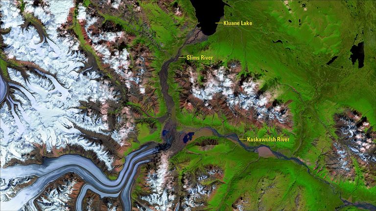 Like most glaciers worldwide, Kaskawulsh Glacier in the Kluane National Park and Reserve of southwestern Yukon Territory, Canada, has receded over the past several decades. A Nature Geoscience article confirms that this receding glacier caused a rare instance of river piracy—the diversion of one stream’s headwaters into another. Instead of flowing north via the Slims River into Kluane Lake, eventually reaching the Yukon River and Bering Sea as it did before spring 2016, most of the meltwater now flows eastward to the Alsek River and Pacific Ocean via the Kaskawulsh River. This diversion brought sediment changes, varied timing of flows from the glacier and water level changes to the channels, possibly permanently altering downstream ecosystems. Images taken by the Landsat 8 satellite. Source: U.S. Geological Survey (USGS) Landsat Missions Gallery: “Kaskawulsh Glacier, Canada”; U.S. Department of the Interior / USGS and NASA.