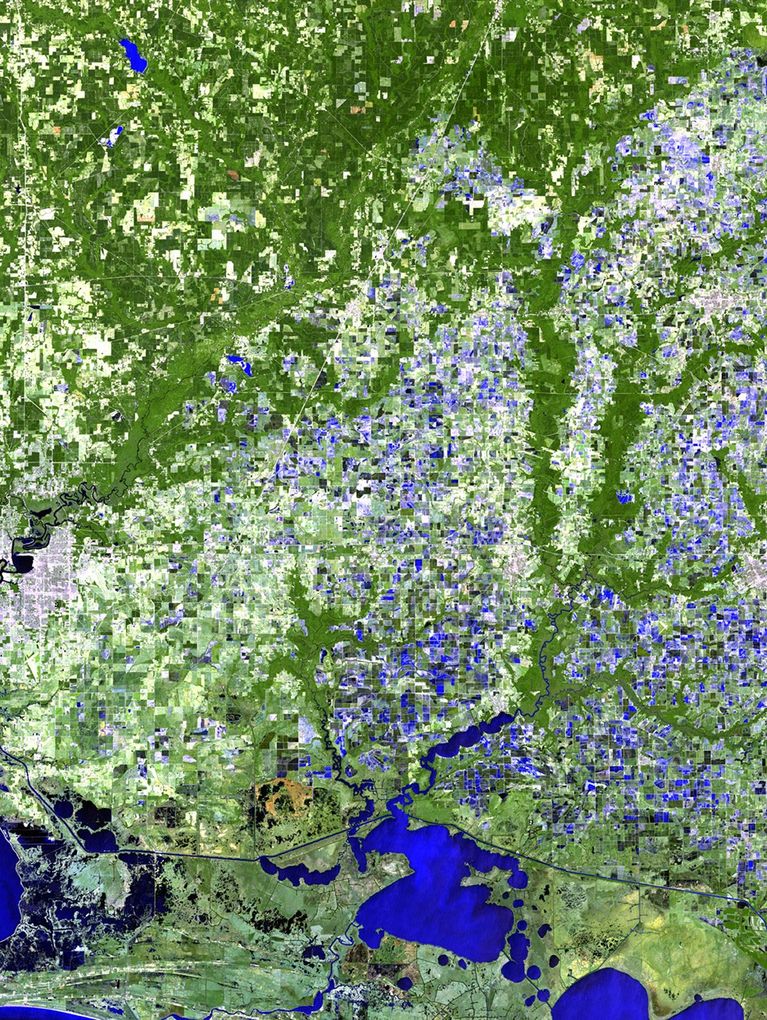 Tropical Depression Lee made landfall here during Labor Day weekend, dumping up to 10 inches (25 centimeters) of rain in the bayou communities of Louisiana. The September 6 image shows the low-lying areas filled with water (shown in blue). The August 29 picture shows the area before the storm arrived. Subsequent imagery will be used to monitor recovery of the region.   Images taken by the Thematic Mapper sensor aboard Landsat 5 and the Enhanced Thematic Mapper Plus aboard Landsat 7. Source: USGS Landsat Missions Gallery, U.S. Department of the Interior / U.S. Geological Survey.