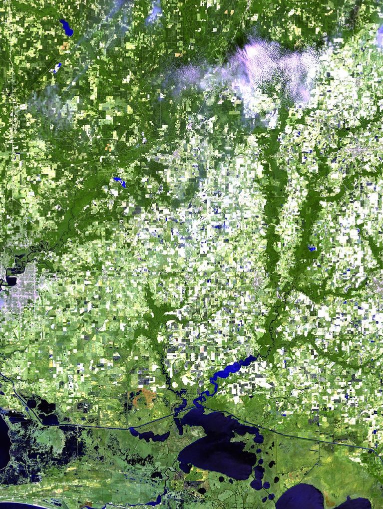 Tropical Depression Lee made landfall here during Labor Day weekend, dumping up to 10 inches (25 centimeters) of rain in the bayou communities of Louisiana. The September 6 image shows the low-lying areas filled with water (shown in blue). The August 29 picture shows the area before the storm arrived. Subsequent imagery will be used to monitor recovery of the region.   Images taken by the Thematic Mapper sensor aboard Landsat 5 and the Enhanced Thematic Mapper Plus aboard Landsat 7. Source: USGS Landsat Missions Gallery, U.S. Department of the Interior / U.S. Geological Survey.