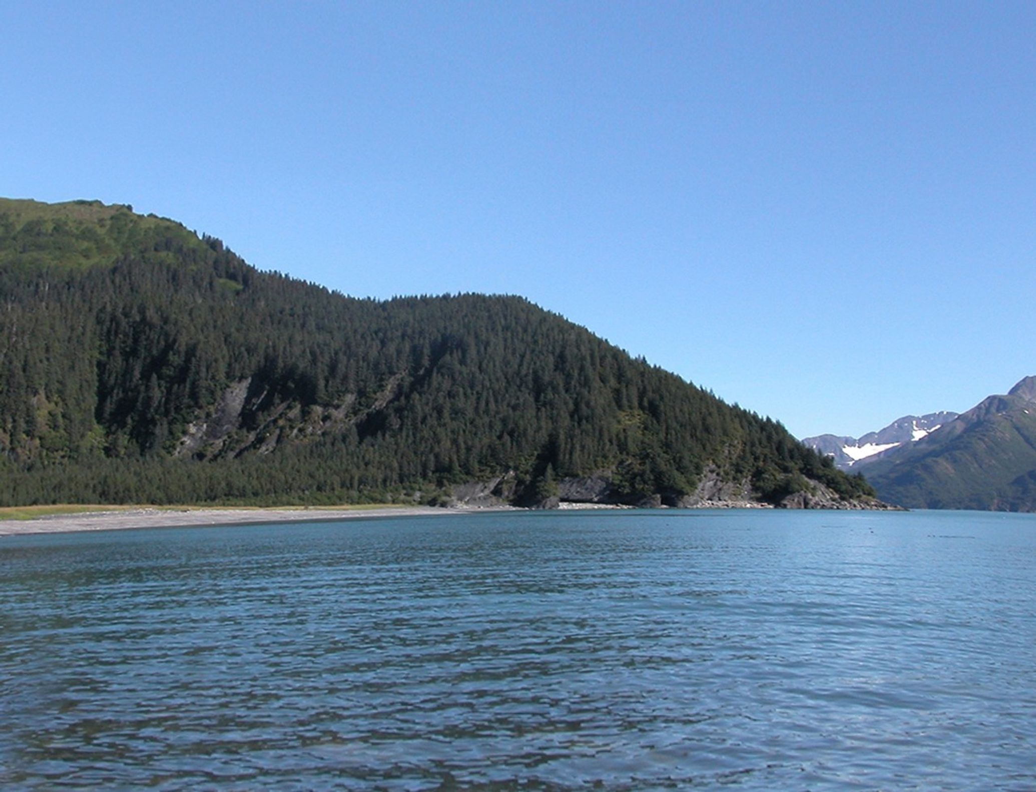 The 1909 photograph shows the west side of the terminus of McCarty Glacier. In the 2004 image, the terminus has retreated about 9 miles (15 kilometers) to the north. The area in the foreground, which had been covered by glacial deposits, is now open ocean water, thanks to the melting of glacier ice under the sediment deposits. The former barren zone and adjacent hillside are now covered by dense vegetation. U.S. Geological Survey, Department of the Interior. Earlier image by W. O. Field, courtesy of the National Snow and Ice Data Center and Glacier Bay National Park and Preserve Archive. Later image is a USGS photograph by Bruce F. Molina.