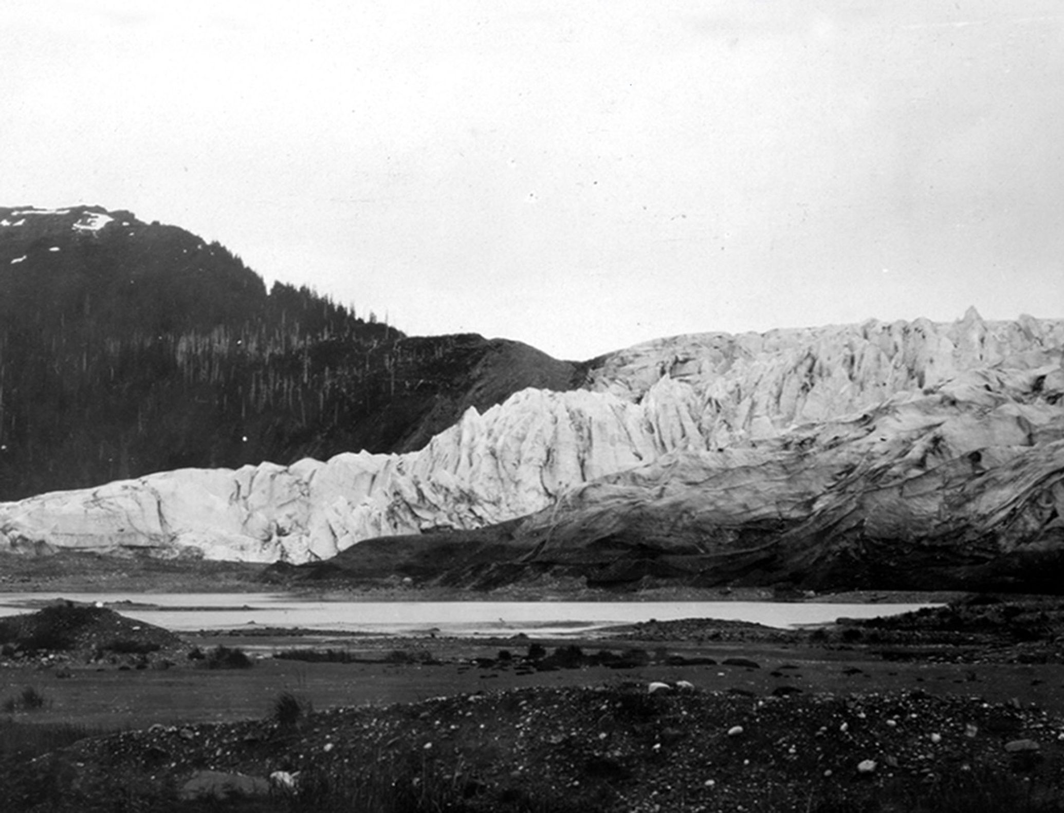 The 1909 photograph shows the west side of the terminus of McCarty Glacier. In the 2004 image, the terminus has retreated about 9 miles (15 kilometers) to the north. The area in the foreground, which had been covered by glacial deposits, is now open ocean water, thanks to the melting of glacier ice under the sediment deposits. The former barren zone and adjacent hillside are now covered by dense vegetation. U.S. Geological Survey, Department of the Interior. Earlier image by W. O. Field, courtesy of the National Snow and Ice Data Center and Glacier Bay National Park and Preserve Archive. Later image is a USGS photograph by Bruce F. Molina.