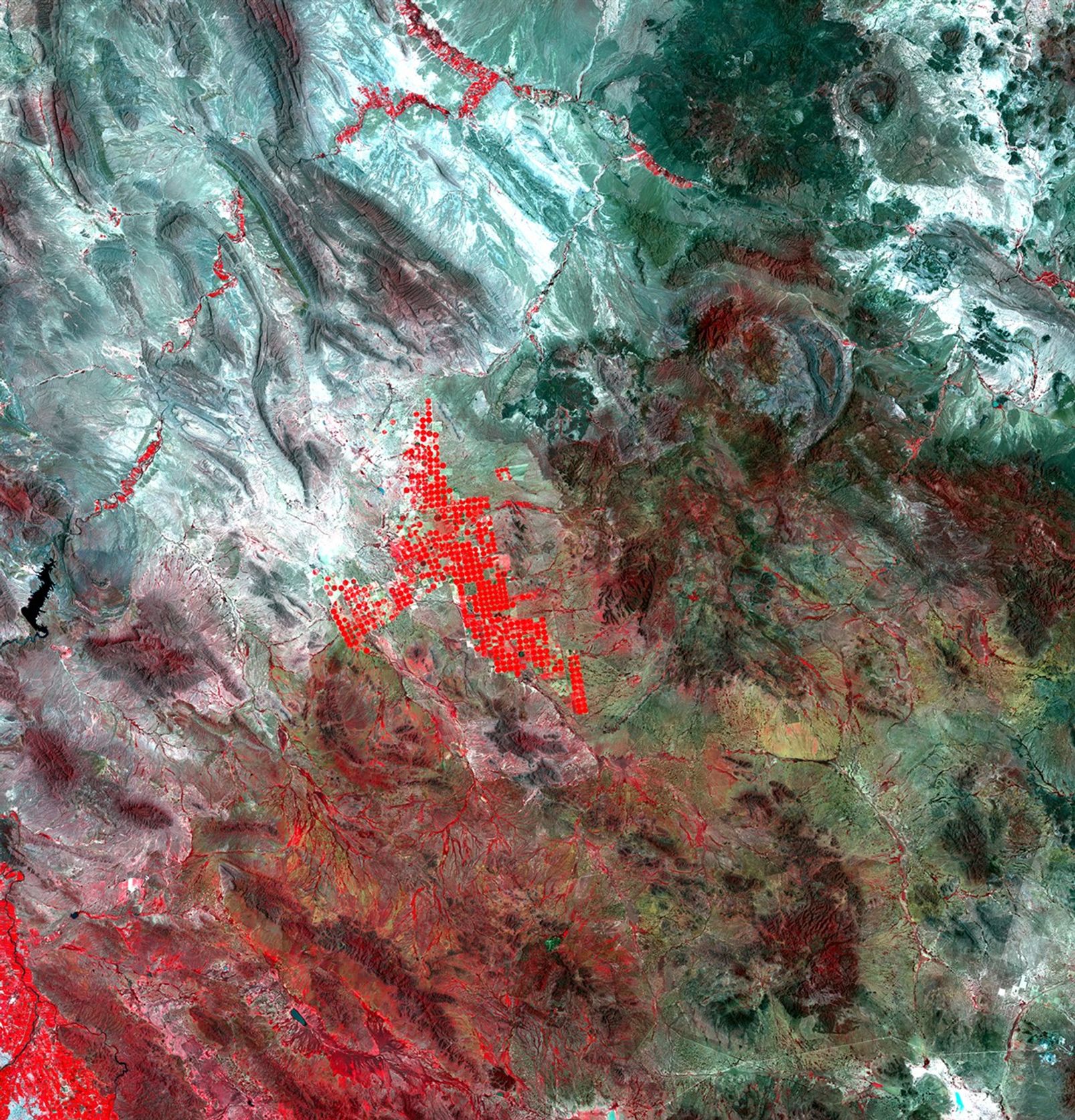 These images illustrate major changes in agricultural practices in the Mexican state of Chihuahua. Increased diversion of water from the Luis L. Leon Reservoir for agricultural irrigation has affected vegetation patterns in the northeastern part of Chihuahua and significantly reduced the amount of water reaching the Rio Grande River. Farmers use center pivot irrigation systems (marked by red circles) to grow alfalfa and sorghum for dairy farms and cattle feedlots. The drop in water supplying the Rio Grande seriously threatens wildlife habitat and natural vegetation. Images taken by the Thematic Mapper sensor onboard Landsat 5. Source: USGS Landsat Missions Gallery, "Irrigation Expansion in Mexico," U.S. Department of the Interior / U.S. Geological Survey.