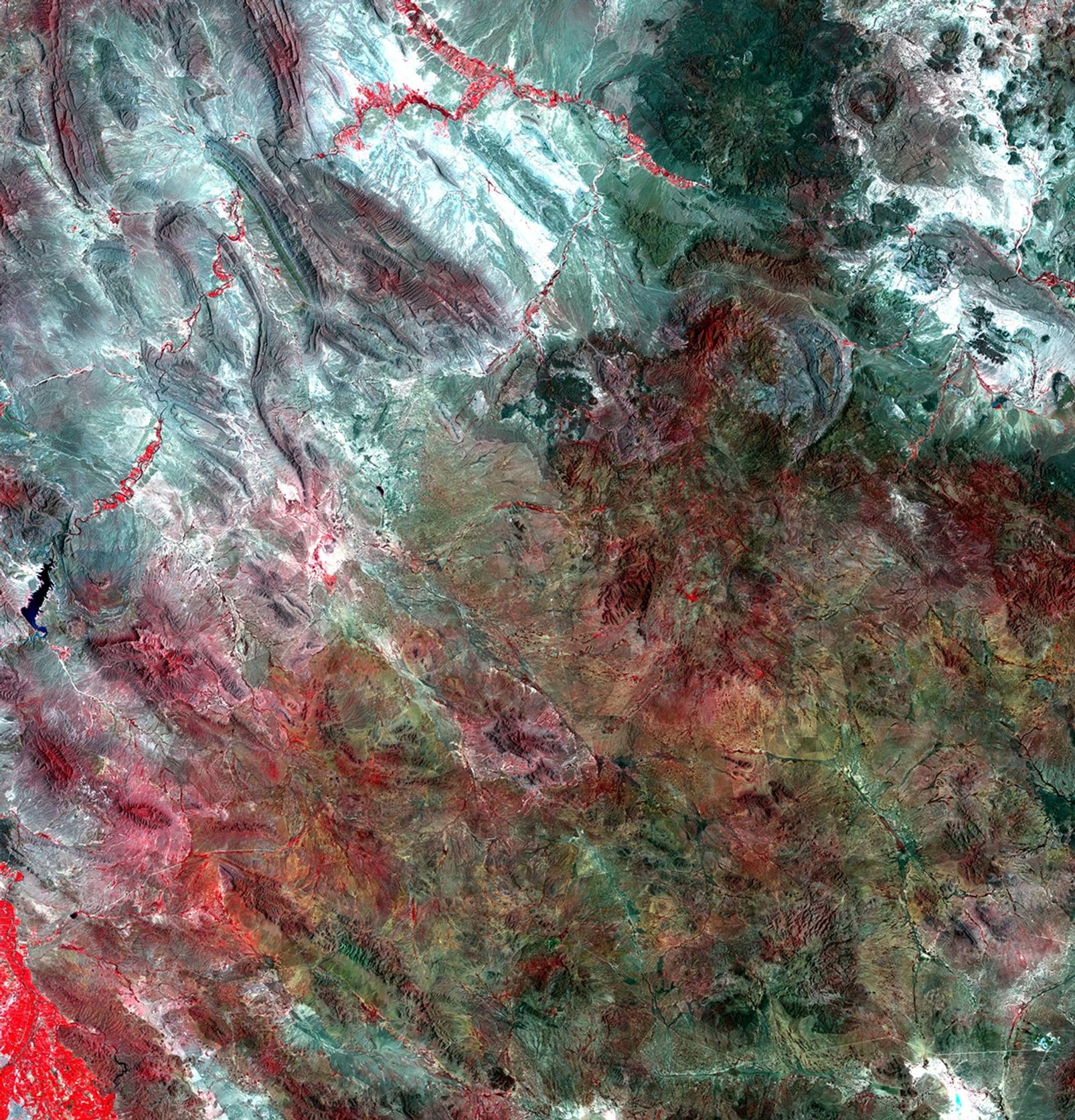 These images illustrate major changes in agricultural practices in the Mexican state of Chihuahua. Increased diversion of water from the Luis L. Leon Reservoir for agricultural irrigation has affected vegetation patterns in the northeastern part of Chihuahua and significantly reduced the amount of water reaching the Rio Grande River. Farmers use center pivot irrigation systems (marked by red circles) to grow alfalfa and sorghum for dairy farms and cattle feedlots. The drop in water supplying the Rio Grande seriously threatens wildlife habitat and natural vegetation. Images taken by the Thematic Mapper sensor onboard Landsat 5. Source: USGS Landsat Missions Gallery, "Irrigation Expansion in Mexico," U.S. Department of the Interior / U.S. Geological Survey.
