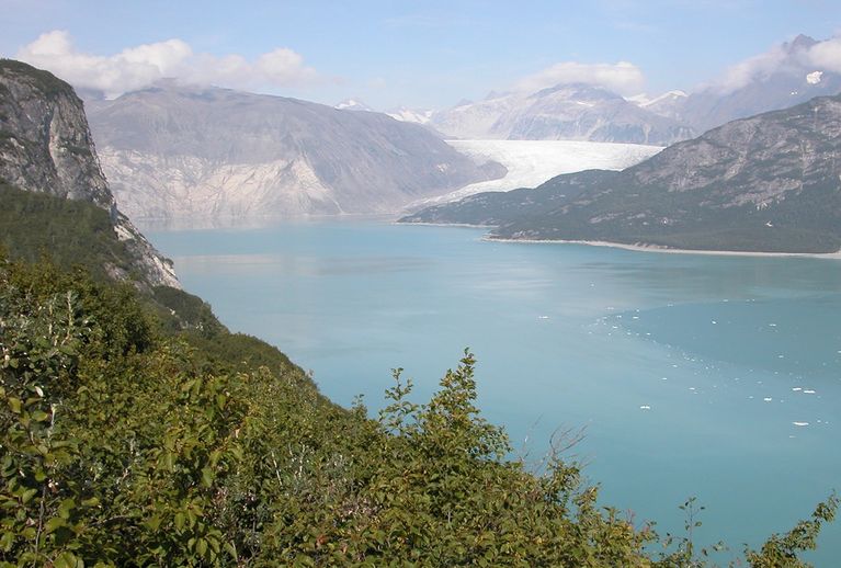 The 1941 photograph shows the lower reaches of Muir Glacier and its tributary, Riggs Glacier. The two glaciers filled Muir Inlet. In the 2004 photograph, Muir Glacier, continuing a retreat nearly two centuries long, is located about 4 miles (7 kilometers) to the northwest, out of the field of view. Riggs Glacier has retreated some 0.4 miles (0.6 kilometers). Both glaciers have thinned substantially. U.S. Geological Survey, Department of the Interior. Earlier image by W. O. Field, courtesy of the National Snow and Ice Data Center and Glacier Bay National Park and Preserve Archive. Later image is a USGS photograph by Bruce F. Molina.