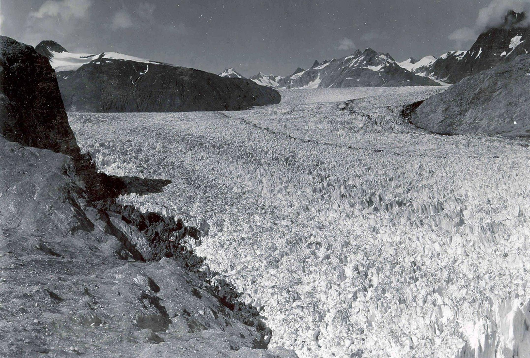 The 1941 photograph shows the lower reaches of Muir Glacier and its tributary, Riggs Glacier. The two glaciers filled Muir Inlet. In the 2004 photograph, Muir Glacier, continuing a retreat nearly two centuries long, is located about 4 miles (7 kilometers) to the northwest, out of the field of view. Riggs Glacier has retreated some 0.4 miles (0.6 kilometers). Both glaciers have thinned substantially. U.S. Geological Survey, Department of the Interior. Earlier image by W. O. Field, courtesy of the National Snow and Ice Data Center and Glacier Bay National Park and Preserve Archive. Later image is a USGS photograph by Bruce F. Molina.