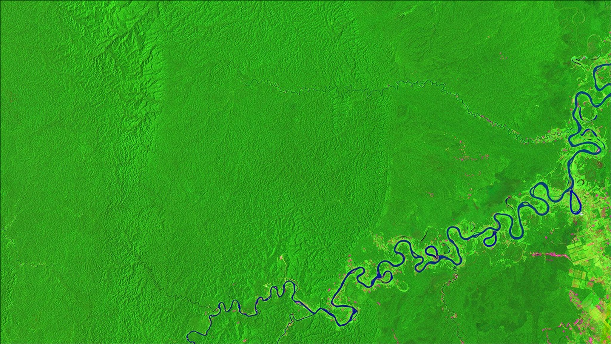Large areas within the Amazon rainforest have undergone large-scale deforestation over the past few decades. However, in locations like the Peruvian Amazon, most of the deforestation is caused in recent years by small-scale agriculture, according to the Monitoring of the Andean Amazon Project. These images show land about 25 miles (about 40 kilometers) northwest of Pucallpa along the Aguaytia River. Lush green dominates the 1986 image (left), while deforested land is light green or pink in the 2016 image. Two large-scale oil palm plantations dominate the 2016 image. Images taken by Landsat. Source: U.S. Geological Survey (USGS) Landsat Missions Gallery: “Monitoring Deforestation in the Amazon”; U.S. Department of the Interior / USGS and NASA.