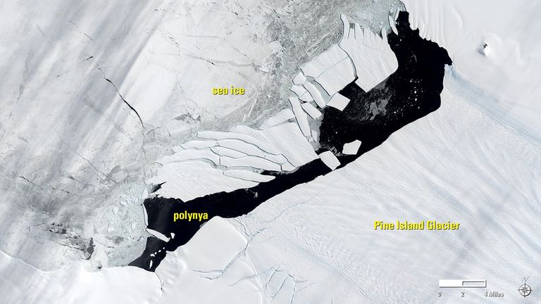 A massive iceberg broke off Antarctica’s Pine Island Glacier in September 2017 and sea ice blocked it from drifting out to sea. It shattered over the next few months, probably because it floated in a polynya, an area of open water, in which the water was relatively warm. The Sept. 21 image shows the glacier days before it calved the iceberg. Images taken by Landsat 8. Source: USGS Land Remote Sensing Image Collections.