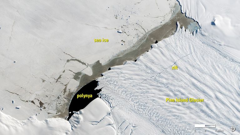 A massive iceberg broke off Antarctica’s Pine Island Glacier in September 2017 and sea ice blocked it from drifting out to sea. It shattered over the next few months, probably because it floated in a polynya, an area of open water, in which the water was relatively warm. The Sept. 21 image shows the glacier days before it calved the iceberg. Images taken by Landsat 8. Source: USGS Land Remote Sensing Image Collections.