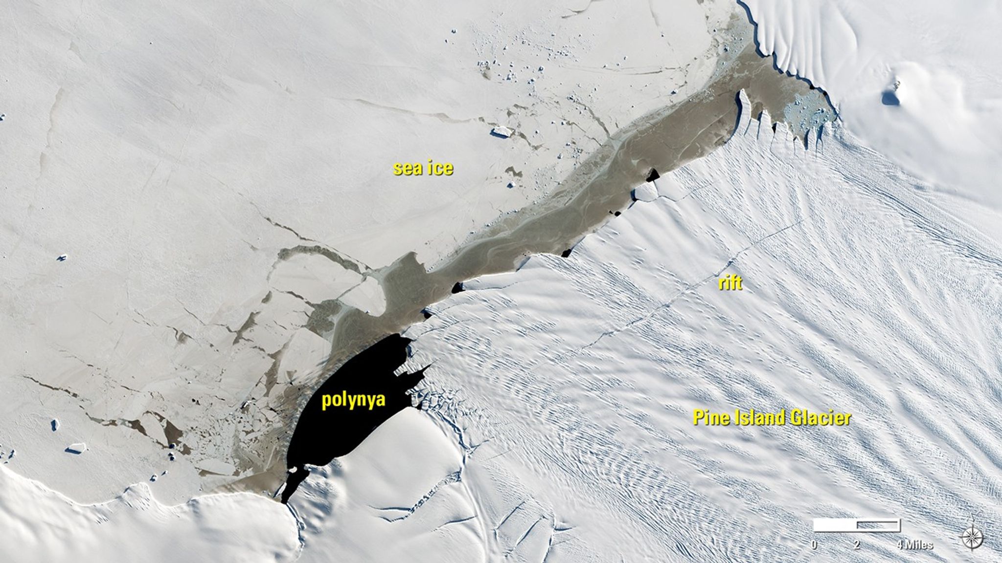 A massive iceberg broke off Antarctica’s Pine Island Glacier in September 2017 and sea ice blocked it from drifting out to sea. It shattered over the next few months, probably because it floated in a polynya, an area of open water, in which the water was relatively warm. The Sept. 21 image shows the glacier days before it calved the iceberg. Images taken by Landsat 8. Source: USGS Land Remote Sensing Image Collections.