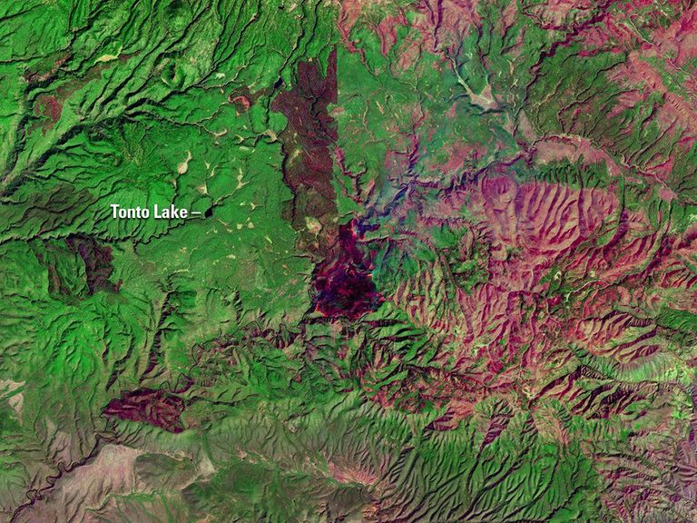 Rattlesnake Fire, Arizona - NASA Science