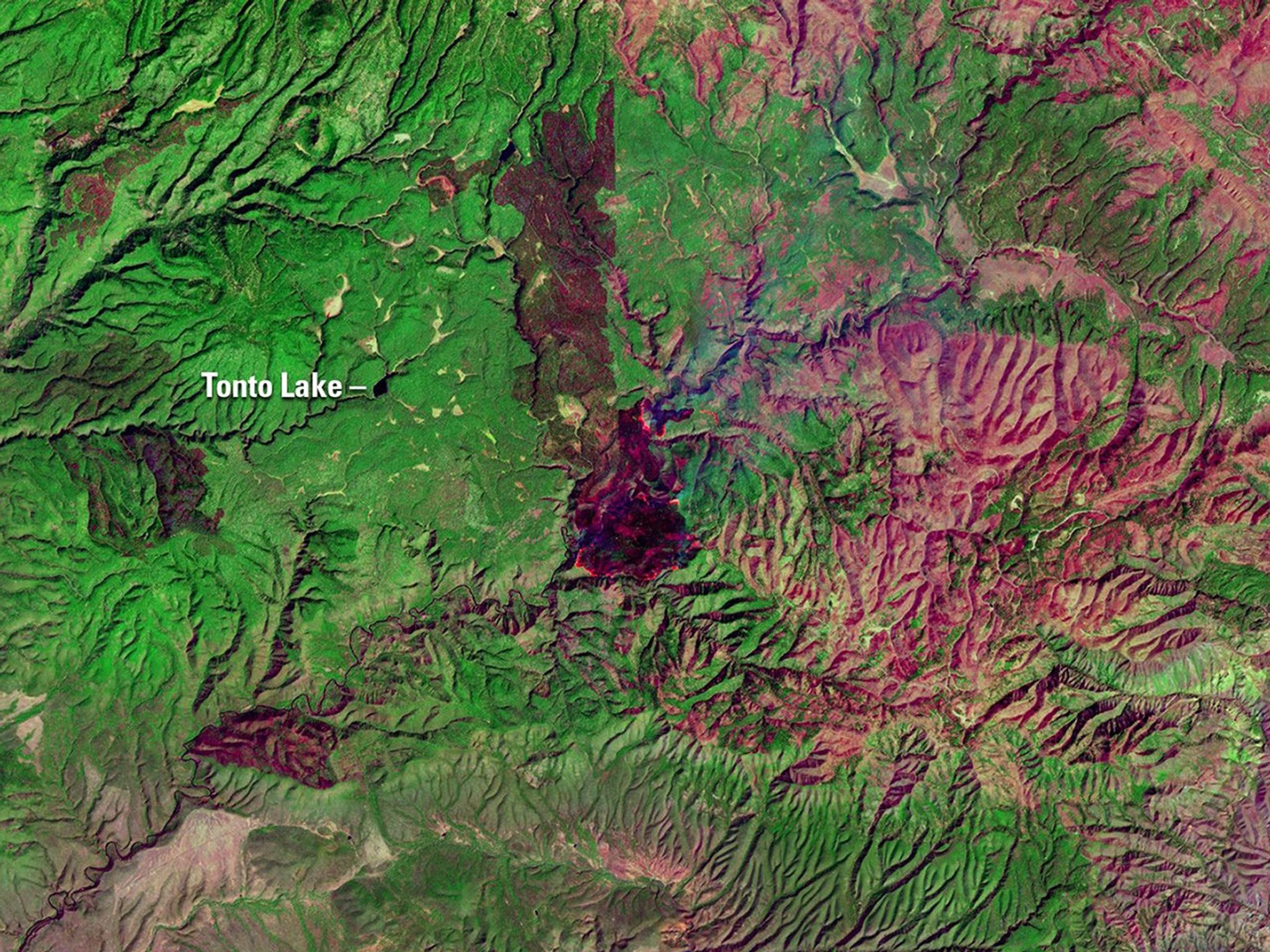 The Rattlesnake Fire in eastern Arizona, which ignited on April 11, 2018, scorched more than 26,000 acres of the Fort Apache Indian Reservation, San Carlos Indian Reservation, and the Apache-Sitgreaves National Forests. The April image shows the fire emerging from the White Mountains. By the time of the May image, the fire had spread but was mostly contained. These false-color images were taken at infrared wavelengths that clearly distinguish between unburned vegetation (green) and the soil and ash in burned areas (red). Images taken by Landsat 8. Source: U.S. Geological Survey’s Land Remote Sensing Image Collections