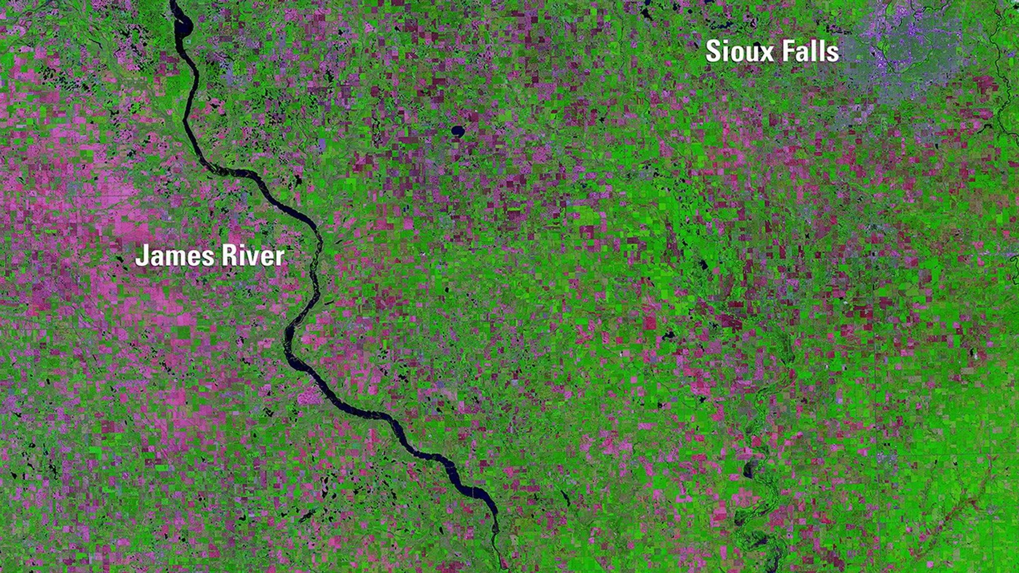 Abnormally high spring rainfall and subsequent flooding in 2019 had a season-long impact on farming in the Midwest. By August 22, the U.S. Department of Agriculture reported 3.9 million 