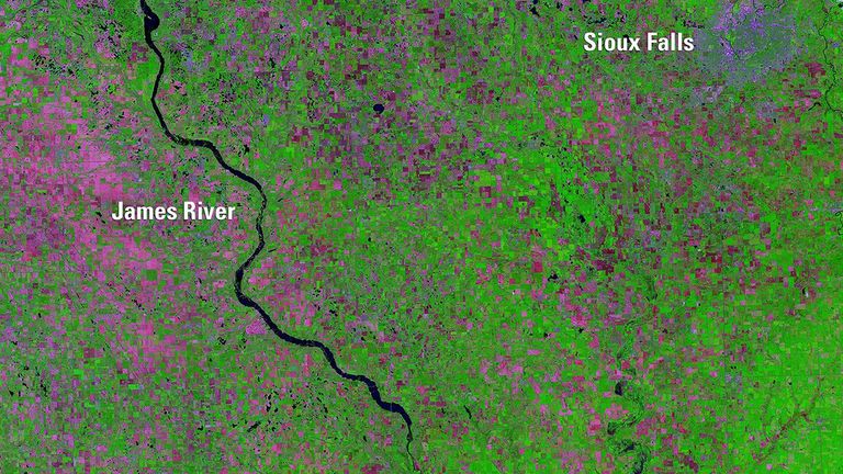 Abnormally high spring rainfall and subsequent flooding in 2019 had a season-long impact on farming in the Midwest. By August 22, the U.S. Department of Agriculture reported 3.9 million "prevented planting" acres­ — fields too flooded to plant — in South Dakota, more than in any other state. In these images of southeastern South Dakota, growing vegetation is green and unplanted fields are pink. The 2019 image also shows the James River overflowing its banks.   Images taken by Landsat 8. Source: U.S. Geological Survey’s National Land Imaging Image Collections