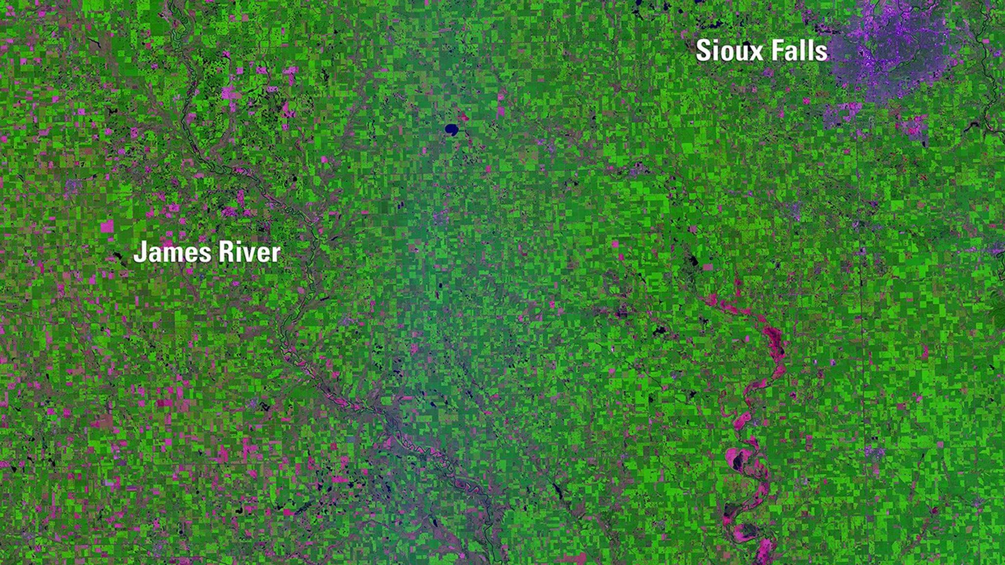 Abnormally high spring rainfall and subsequent flooding in 2019 had a season-long impact on farming in the Midwest. By August 22, the U.S. Department of Agriculture reported 3.9 million 
