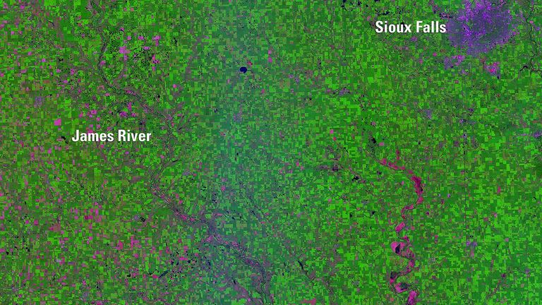 Abnormally high spring rainfall and subsequent flooding in 2019 had a season-long impact on farming in the Midwest. By August 22, the U.S. Department of Agriculture reported 3.9 million "prevented planting" acres­ — fields too flooded to plant — in South Dakota, more than in any other state. In these images of southeastern South Dakota, growing vegetation is green and unplanted fields are pink. The 2019 image also shows the James River overflowing its banks.   Images taken by Landsat 8. Source: U.S. Geological Survey’s National Land Imaging Image Collections