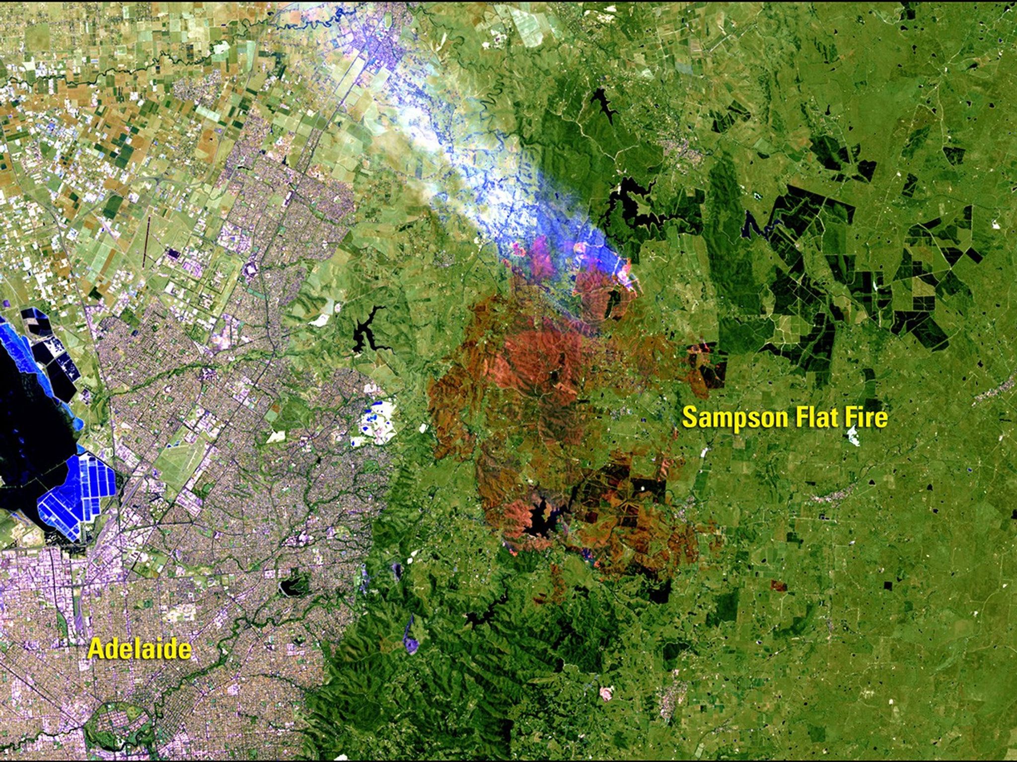 The Sampson Flat Fire started on January 2, 2015—summer in the Southern Hemisphere—near Adelaide, Australia. Hot, windy weather quickly and erratically spread the fire. By January 7, it had burned more than 46 square miles (120 square kilometers) of woodland and grassland within the Mount Lofty Ranges. In the January image, burned areas are brown and active fire appears red with white-blue smoke rising from it. As of January 9, the fire was contained, but firefighters continued to monitor unburned pockets of vegetation for flare-ups.  Images taken by the Operational Land Imager onboard Landsat 8. Source: U.S. Geological Survey (USGS) Landsat Missions Gallery "Sampson Flat Fire, Australia," U.S. Department of the Interior / USGS and NASA.