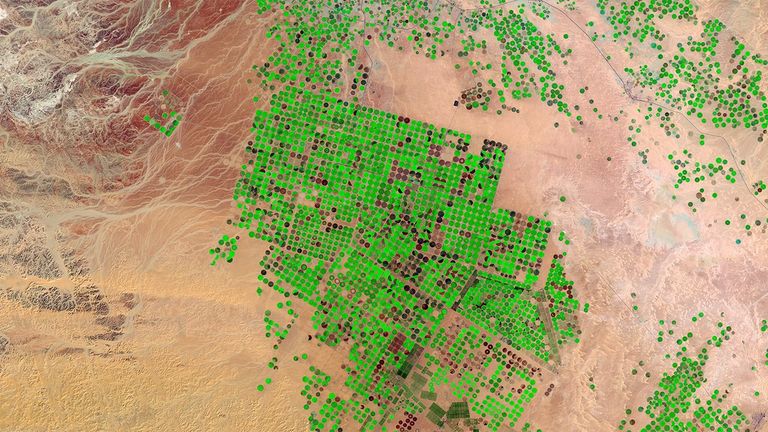 Water lying deep beneath the sand for thousands of years has enabled Saudi Arabia to transform desert in the Wadi As-Sirhan basin into productive farms. Some of the green fields seen here—circular because each is irrigated with a sprinkler system that rotates around the field like the hands of a clock sweep around the clock’s face—are as large as 1 kilometer (about two-thirds of a mile) across. But the region’s rainfall is too little to recharge the aquifer and hydrologists estimate that pumping will be feasible for only another 50 years. Farmers are encouraged to switch to more sustainable methods, such as greenhouse farming with drip irrigation. 1986 image: Landsat 5. 2016 image: The Operational Land Imager onboard Landsat 8. Source: U.S. Geological Survey (USGS) Landsat Missions Gallery; U.S. Department of the Interior / USGS and NASA.
