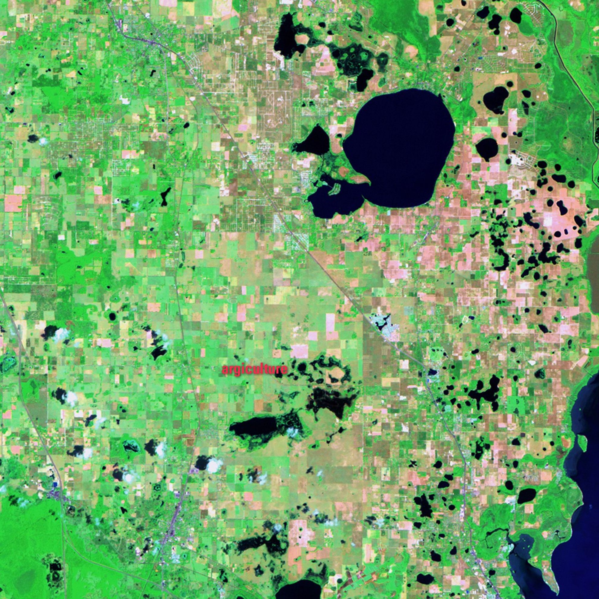 As the U.S. population has aged, more older people have been moving from northern states to southern communities. Sumpter County in central Florida grew 75 percent since 2000, largely due to expansion of The Villages, a master-planned retirement community with a strong emphasis on golf. Started as a mobile home park in the early 1980s, The Villages was the fastest growing micro-population area in the United States by 2008. These images illustrate the changes that have accompanied this growth. Agricultural land has turned into more than 40 golf courses, and small bodies of water (shown as black) have been converted to water hazards. Lakes have been drained to provide irrigation and residential communities (very light tones) have popped up around the golf courses. Images taken by the Thematic Mapper sensor onboard Landsat 5. Source: U.S. Geological Survey (USGS) Landsat Missions Gallery, "The Villages, Florida," U.S. Department of the Interior / USGS and NA