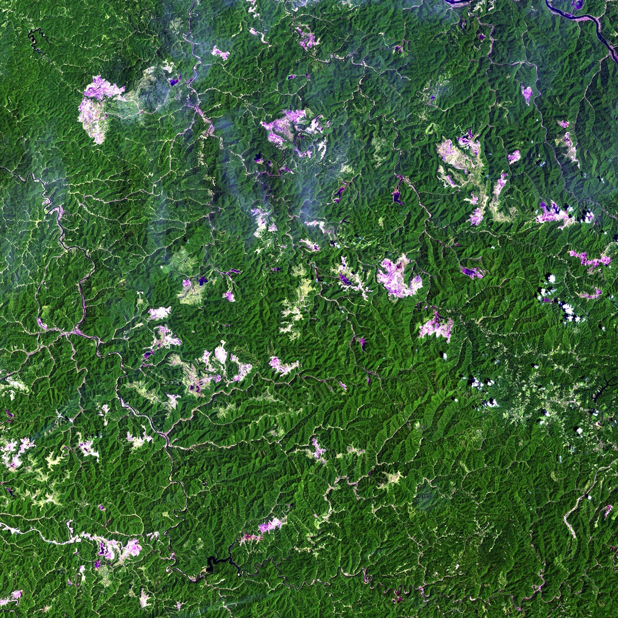 More than half of the U.S.' electrical power comes from coal burning and a large percentage of that coal comes from West Virginia. Of the nearly 150 million tons of coal extracted each year from the state's mines, an increasing amount (60 million tons in 2009) comes from surface mining and mountaintop removal. Mountaintop removal can have serious impacts on the health of local people — through the pollution of groundwater by mine runoff and exposure to airborne toxins and dust — and on the environment — through permanent loss of critical ecosystems, destruction of forests and loss of streams. Scientific evidence suggests that these impacts are pervasive and irreversible and that efforts to reclaim the disturbed land can't make up for the impacts felt by the mining process. Images taken by the Thematic Mapper sensor onboard Landsat 5. Source: USGS Landsat Missions Gallery, "West Virginia Surface Mining," U.S. Department of the Interior / U.S. Geological Survey.