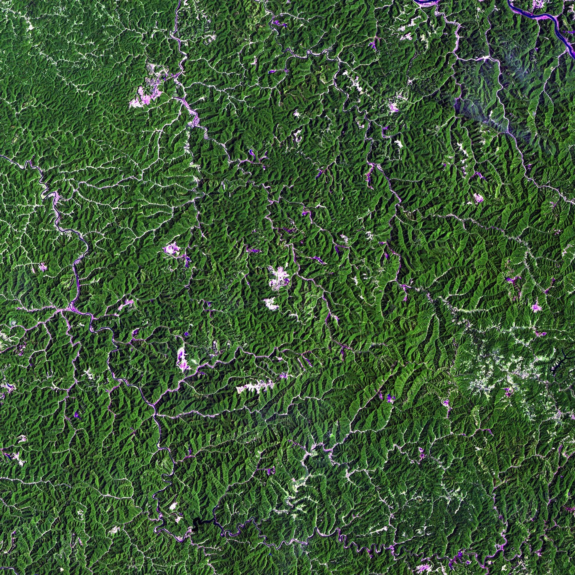 More than half of the U.S.' electrical power comes from coal burning and a large percentage of that coal comes from West Virginia. Of the nearly 150 million tons of coal extracted each year from the state's mines, an increasing amount (60 million tons in 2009) comes from surface mining and mountaintop removal. Mountaintop removal can have serious impacts on the health of local people — through the pollution of groundwater by mine runoff and exposure to airborne toxins and dust — and on the environment — through permanent loss of critical ecosystems, destruction of forests and loss of streams. Scientific evidence suggests that these impacts are pervasive and irreversible and that efforts to reclaim the disturbed land can't make up for the impacts felt by the mining process. Images taken by the Thematic Mapper sensor onboard Landsat 5. Source: USGS Landsat Missions Gallery, "West Virginia Surface Mining," U.S. Department of the Interior / U.S. Geological Survey.