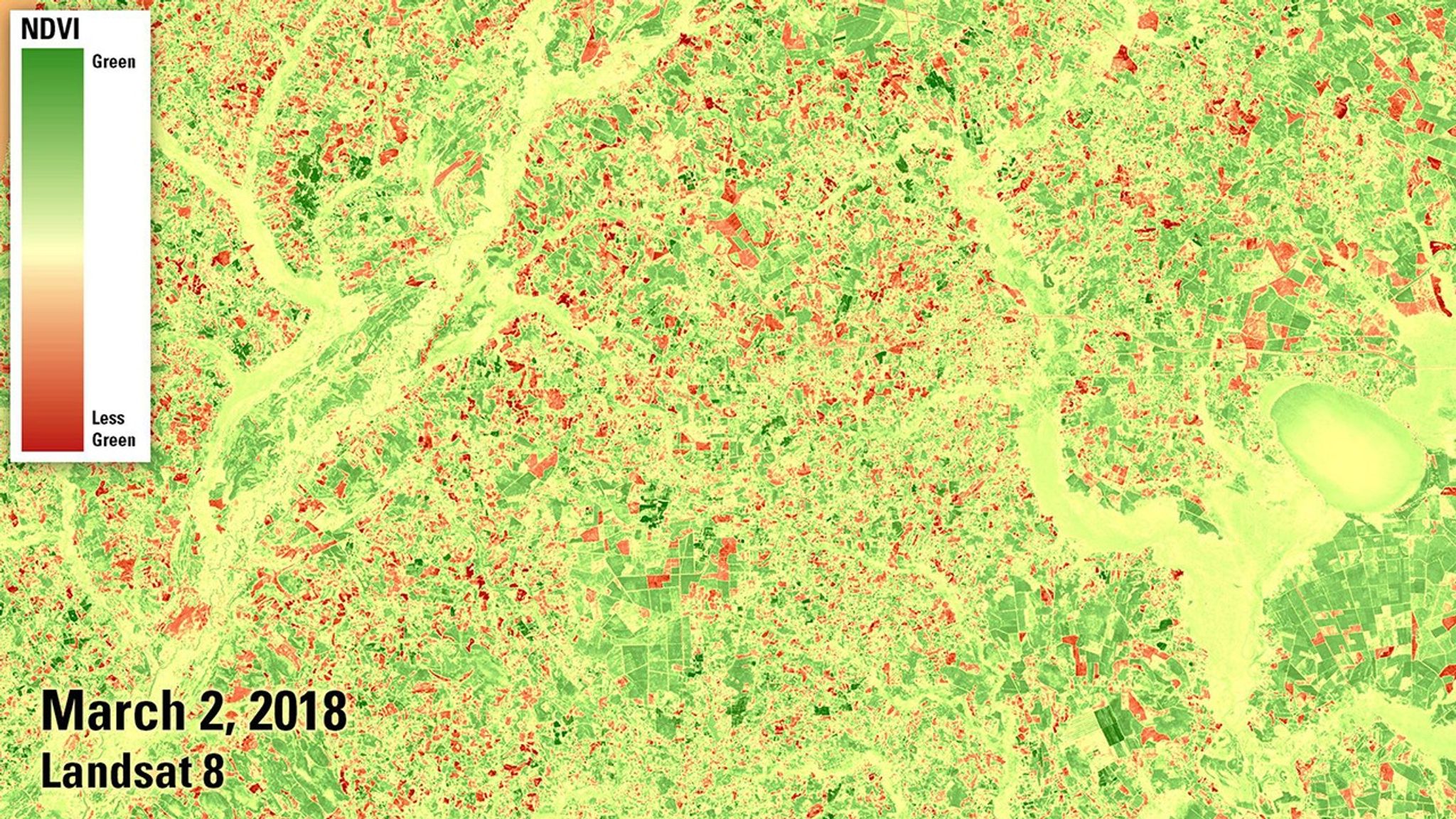 In much of the U.S., spring began unusually early in 2020. These images compare an area near the border of North and South Carolina in early March of 2018 and 2020. In the latter year, the area saw its earliest eruption on record of leaves and flowers. The two images wouldn't look very different in natural color. But in these false-color images, made from both visible and infrared light, springtime vegetation is highlighted with darker and more widespread shades of green. Images taken by the Landsat 8 satellite. Source: U.S. Geological Survey’s National Land Imaging Image Collections