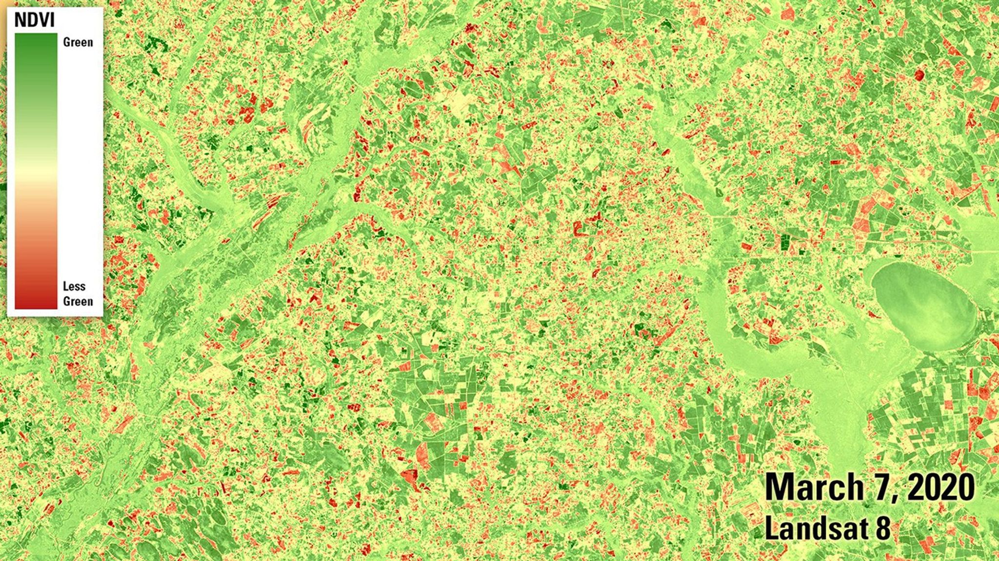 In much of the U.S., spring began unusually early in 2020. These images compare an area near the border of North and South Carolina in early March of 2018 and 2020. In the latter year, the area saw its earliest eruption on record of leaves and flowers. The two images wouldn't look very different in natural color. But in these false-color images, made from both visible and infrared light, springtime vegetation is highlighted with darker and more widespread shades of green.   Images taken by the Landsat 8 satellite. Source: U.S. Geological Survey’s National Land Imaging Image Collections