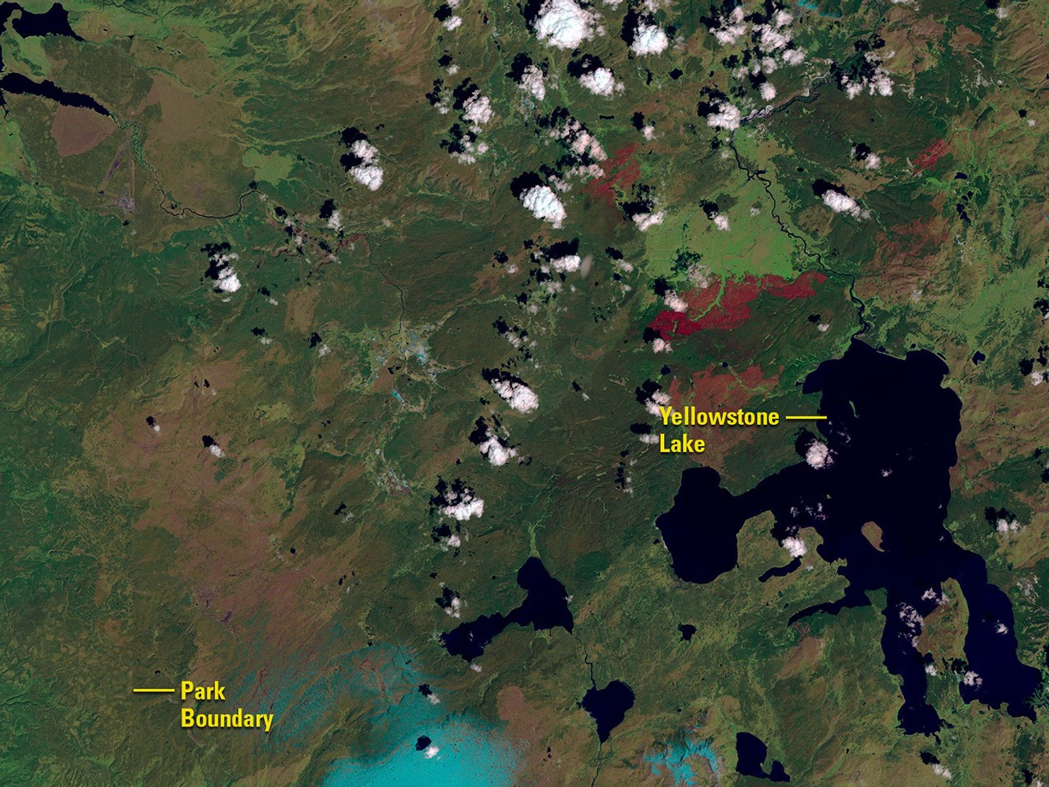 The 1988 image shows scars left by a wildfire that consumed 1.2 million acres in and around Yellowstone National Park that year. The 2016 image shows the recovery of trees and other vegetation. The park’s western border is visible in the 1988 image as a line separating dark green forest where logging is prohibited from the lighter area where trees have been cut and removed. Images taken by the Thematic Mapper onboard Landsat 5 and the Operational Land Imager onboard Landsat 8. Source: U.S. Geological Survey (USGS) Landsat Missions Gallery; “Fire and Rebirth: Landsat Tells Yellowstone’s Story”; U.S. Department of the Interior / USGS and NASA.