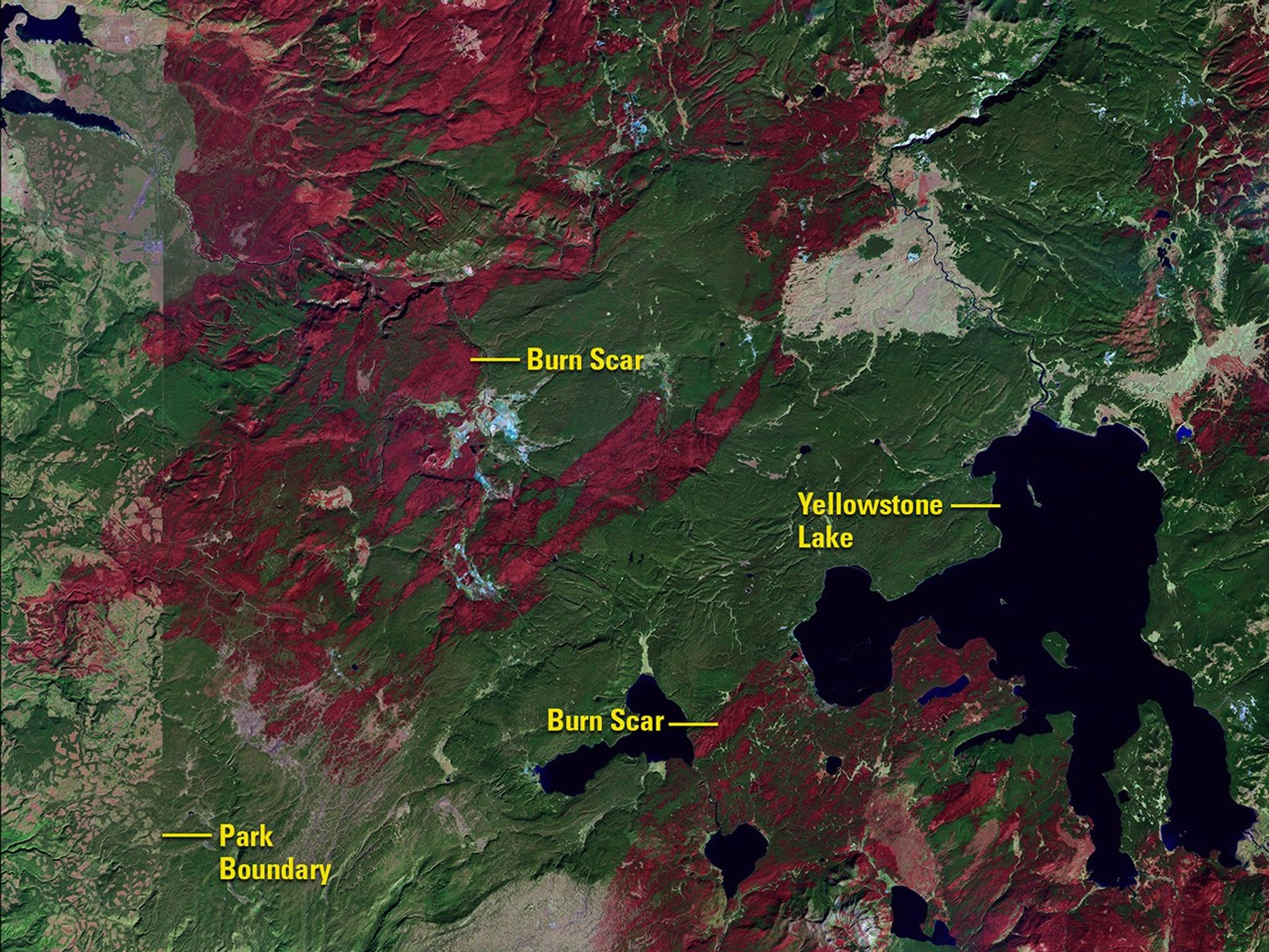 The 1988 image shows scars left by a wildfire that consumed 1.2 million acres in and around Yellowstone National Park that year. The 2016 image shows the recovery of trees and other vegetation. The park’s western border is visible in the 1988 image as a line separating dark green forest where logging is prohibited from the lighter area where trees have been cut and removed.