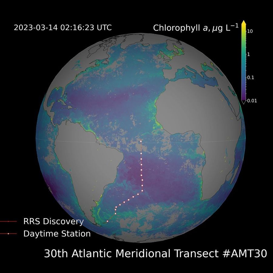 An artist created visual of the globe is centered in the picture. All land on the image appears as a gray color, while the ocean is watercolored in shades of green, purple, and blue. The colors indicate the levels of chlorophyll in an area. Yellows and greens indicate higher levels, while purples and blues indicate lower levels.