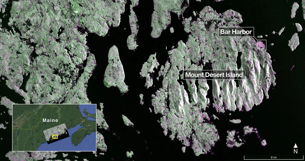 An image of coastal Maine shown dominated by pale green lands speckled with a light purple, particularly close to the water's edge.