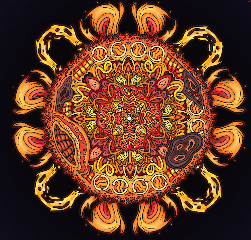 Journey Through the Heliosphere: The Sun-Earth System in Color