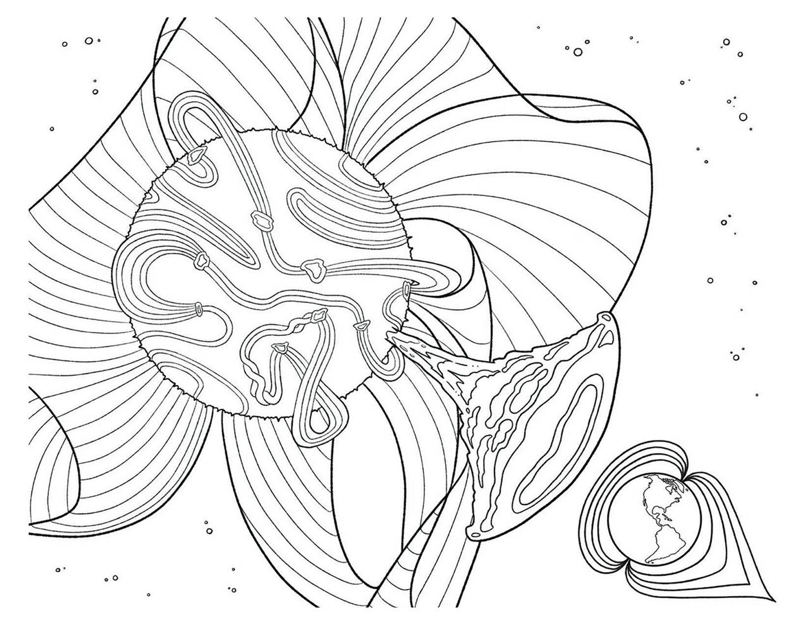 Journey Through the Heliosphere: Solar Magnetic Fields
