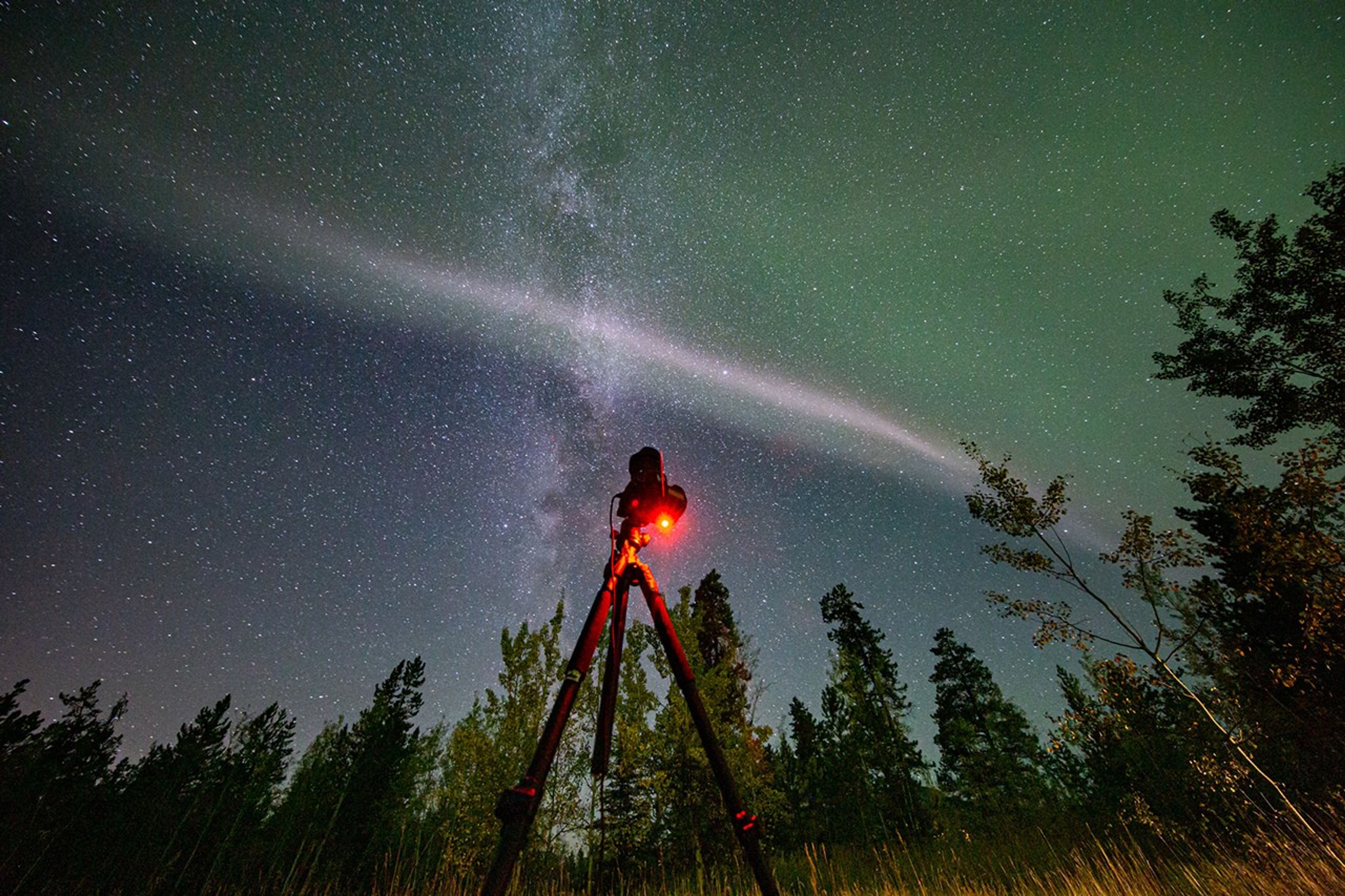 At night, a camera is on top of a tripod. The camera is pointing upward toward the sky. Filling the sky are stars and swaths of green aurora. Trees fill the lower background.