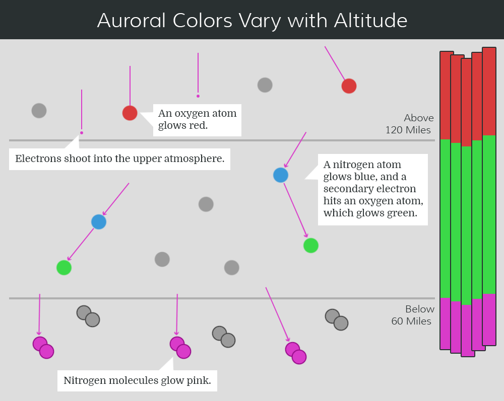 An infographic shows atoms and molecules, denoted as grey circles, in Earth’s atmosphere at different elevations about the ground. In the top band of the infographic, showing the region 120 miles above Earth, oxygen atoms turn red when struck by an electron, shown by pink dots and arrows. The next band down, stretching to 60 miles above the surface, nitrogen atoms turn blue when hit by an electron shown by a pink arrow. A secondary electron — another pink arrow leaving the blue electron — hits an oxygen atom which glows green. In the bottom band, below 60 miles, the pink electron arrows strike nitrogen molecules, shown as double circles, which turn pink. Vertical bands on the right side of the infographic show how these particle interactions create the colors of the aurora at different altitudes, from red high in the atmosphere to green in the middle and pink closer to the surface.
