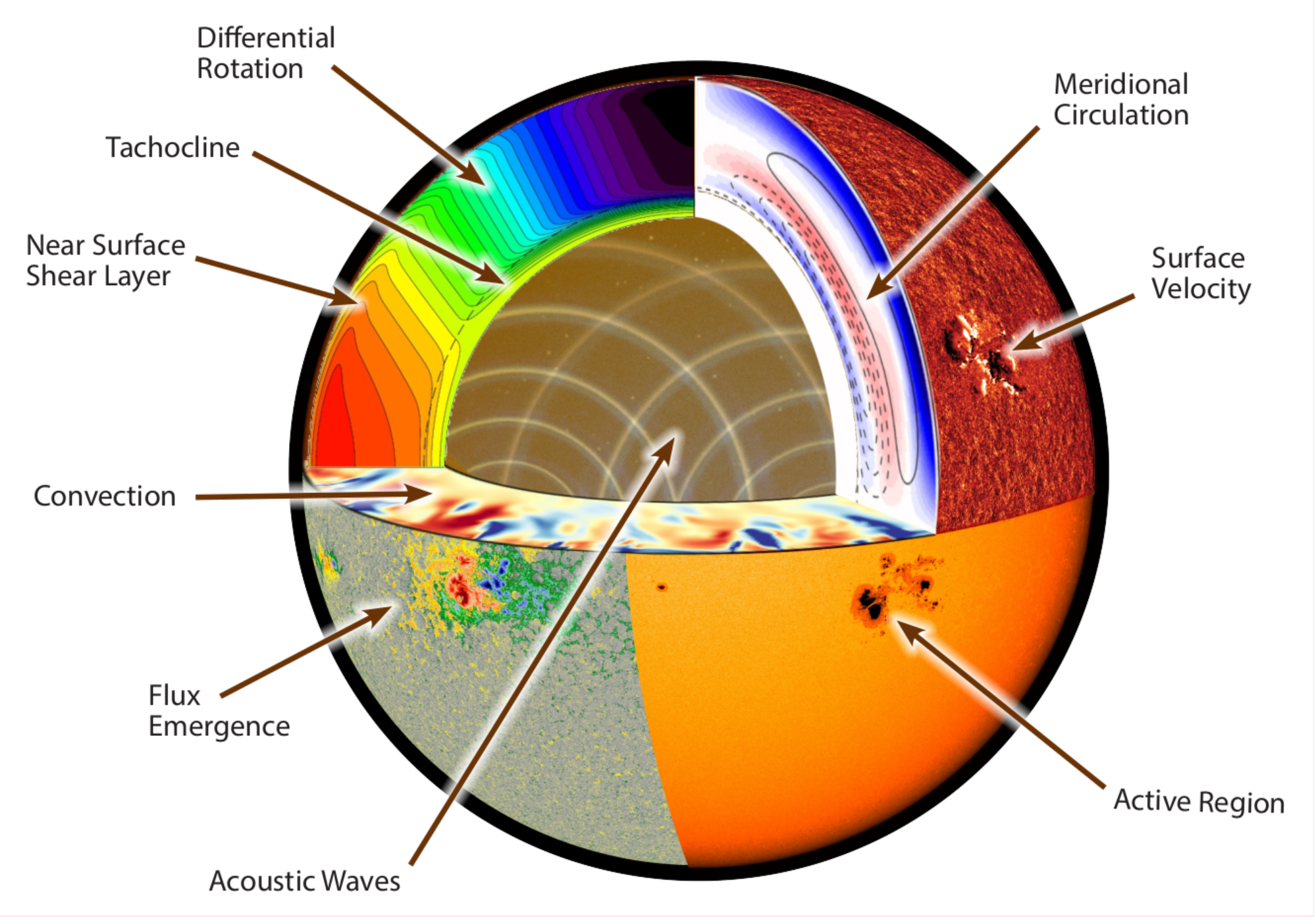 A round, colorful cutaway of the Sun identifying different elements: Differential Rotation, Tachocline, Near Surface Shear Layer, Convection, Flux Emergence, Acoustic Waves, Active Region, Surface Velocity, Meridional Circulation