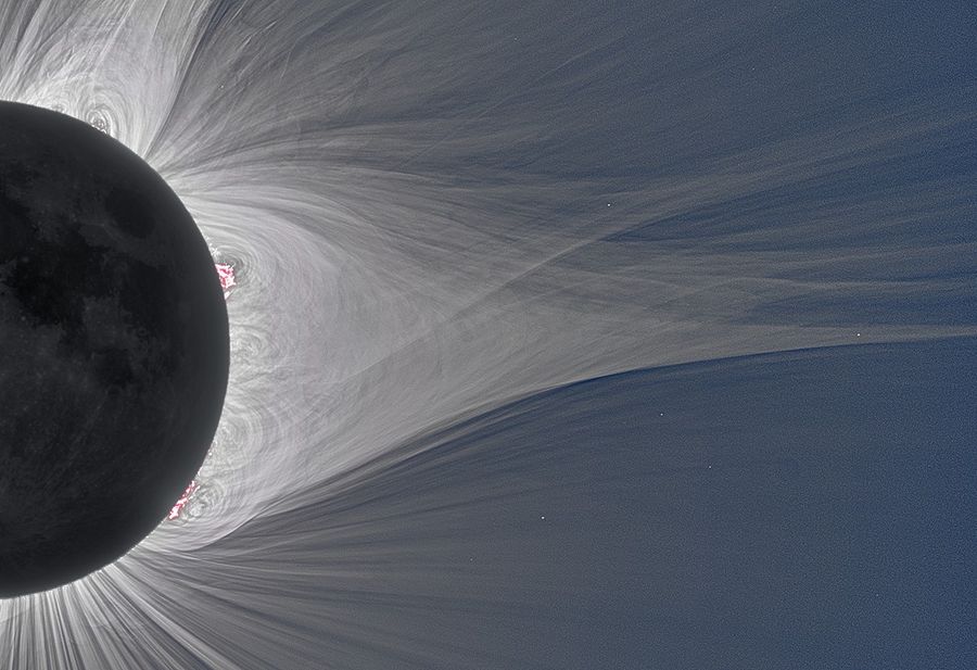 An extreme close-up photograph captures a detailed view of a total solar eclipse, showing the edge of the dark Moon on the left and the intricate structure of the solar corona extending to the right. The Moon's silhouette reveals subtle surface textures, while vibrant pink solar prominences flare out from its edge. The surrounding solar corona appears as a dense network of fine, glowing white magnetic field lines and wispy streamers that loop and stretch across a dark blue sky. Tiny, distant stars are faintly visible through the outer edges of the coronal streams on the right side of the frame.