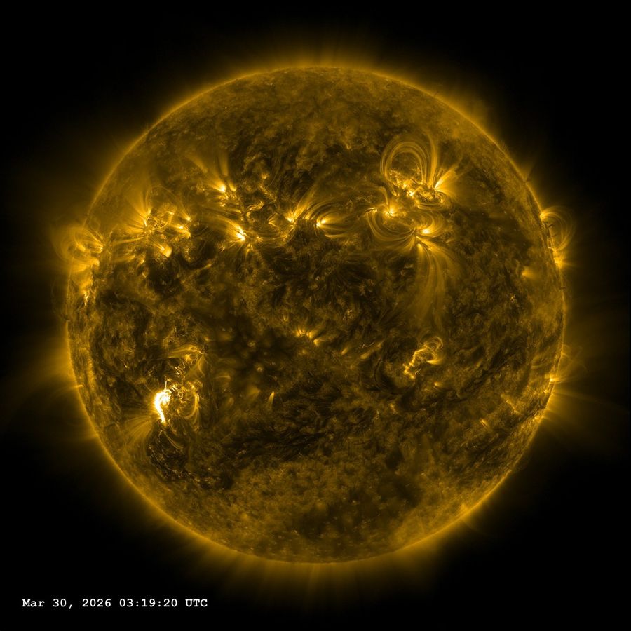 The Sun, showing in gold. There are swirls of bright gold and darker areas, showing active areas on the Sun. Toward the bottom left, there is a very bright gold and white area -- the flare.