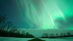 Curtains of green aurora shimmer against a dark blue night sky above a flat, snowy landscape. A small, dark road stretches away from the photographer toward the horizon. Leafless trees stand along the left side of the road and in the distance on the right. A band of white clouds separates the horizon from the green aurora above.