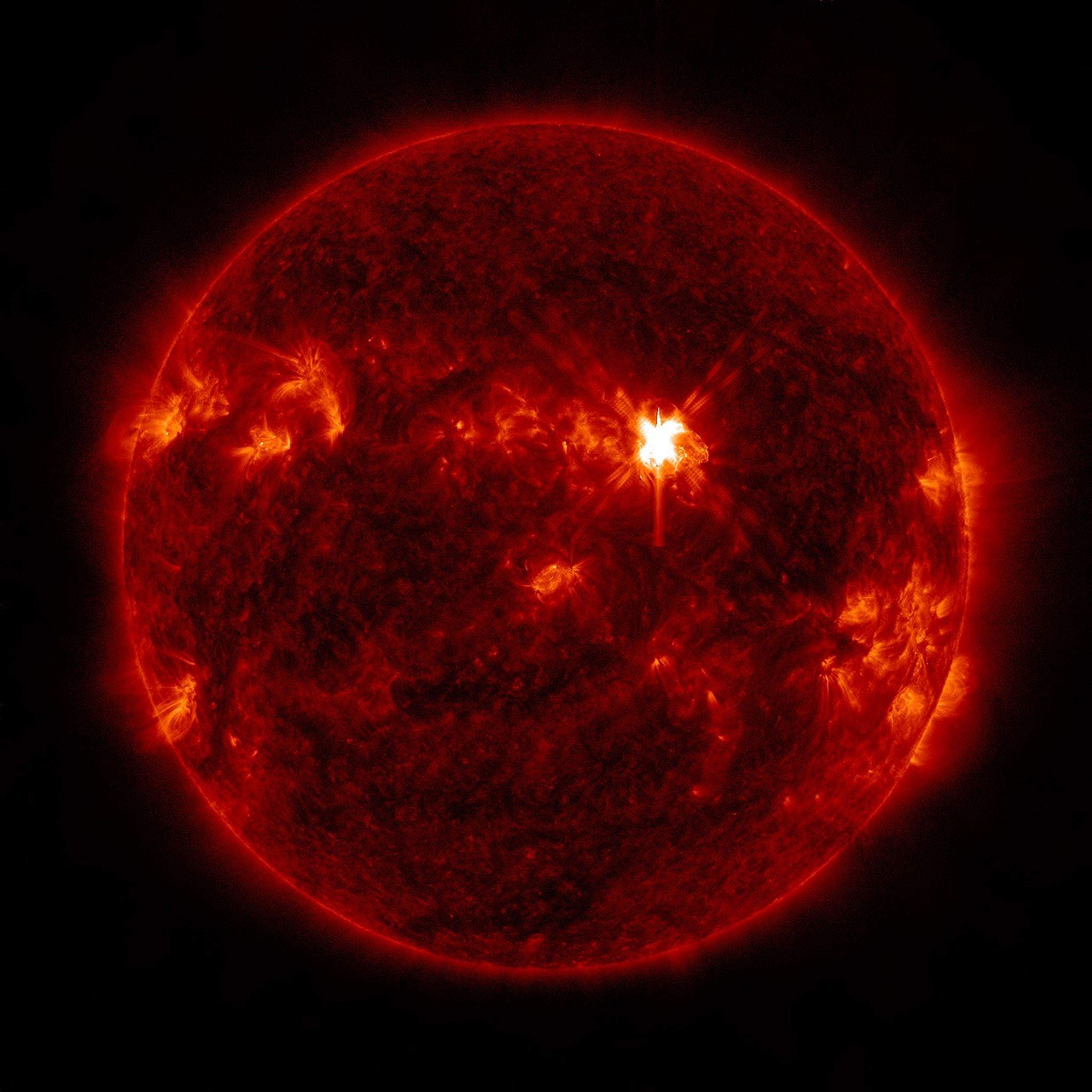 nasa.gov - Abbey Interrante - Strong Flare Erupts from Sun - NASA Science