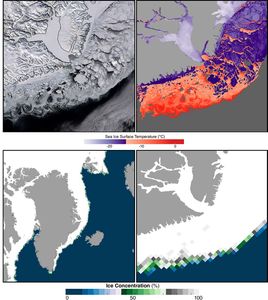 East Greenland Sea Ice as seen by MODIS and AMSR-E