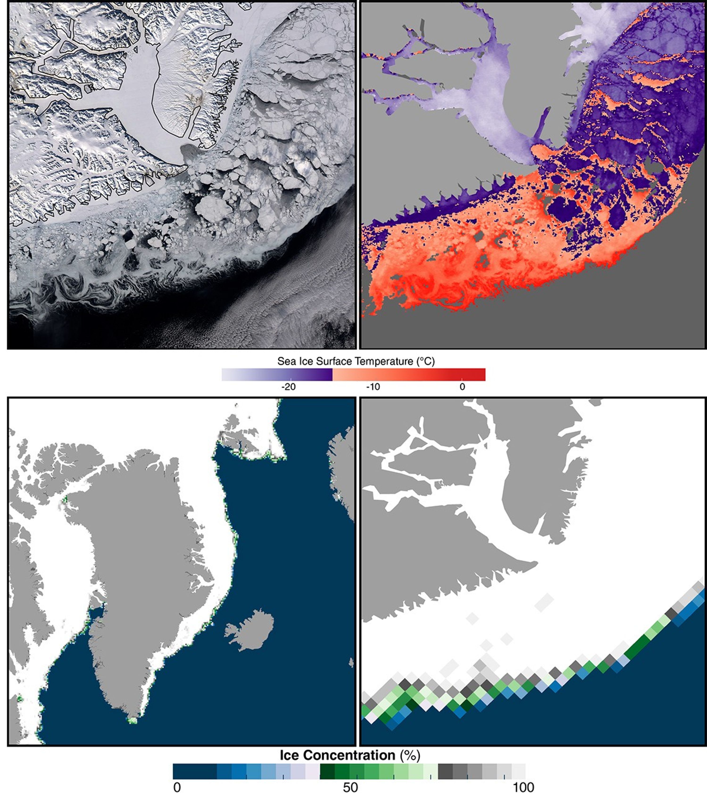 East Greenland Sea Ice as seen by MODIS and AMSR-E