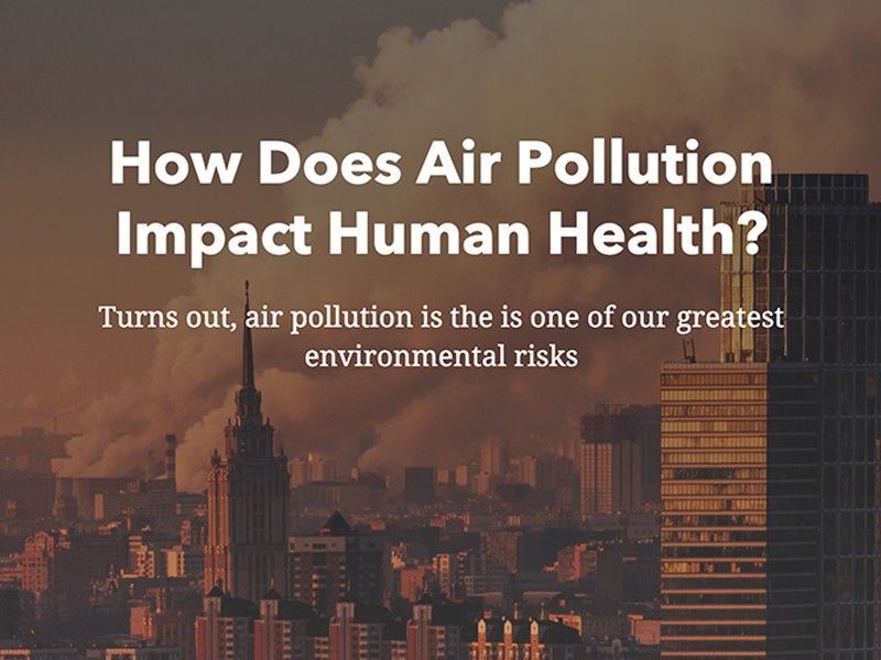 How Does Air Pollution Impact Human Health?