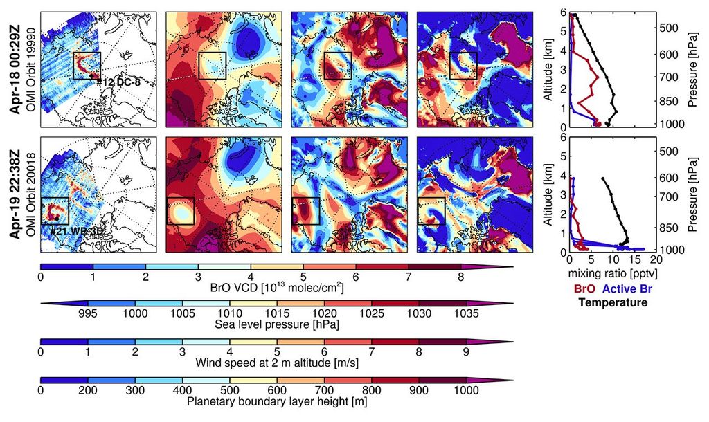 Bromine Monoxide enhancements over the North Pole