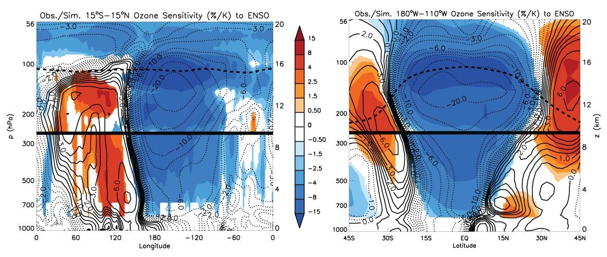 Aura Illuminates the Signature of ENSO in Lower Atmospheric Ozone