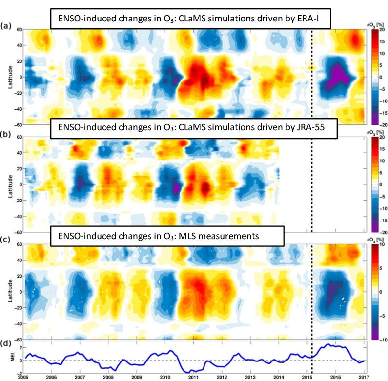 Latitude/time evolution of the ENSO impact on lower stratospheric ozone